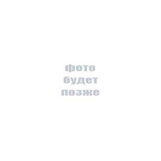 Диодные мосты DB107S DB107S