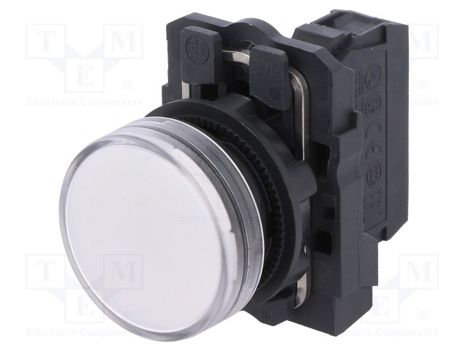 XB5AVB1 (Schneider Electric)